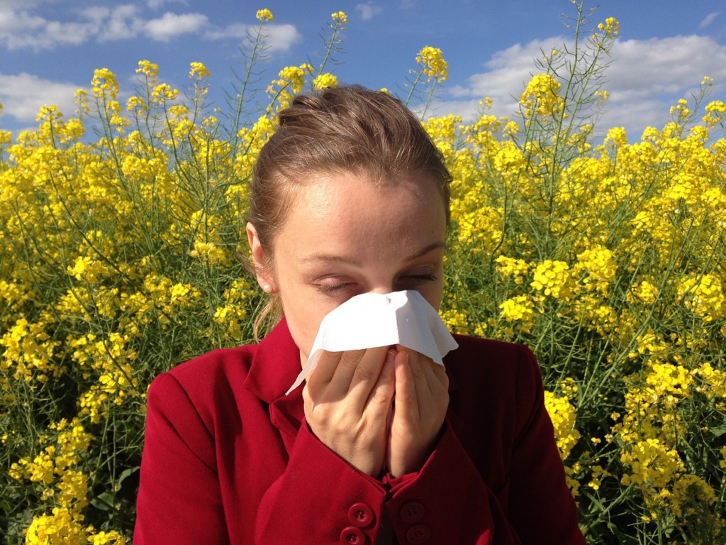 pollenallergie